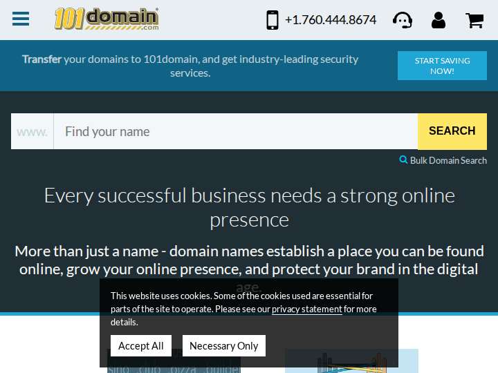 101domain website preview