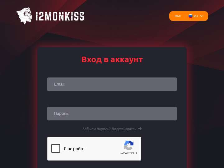 12Monkiss website preview