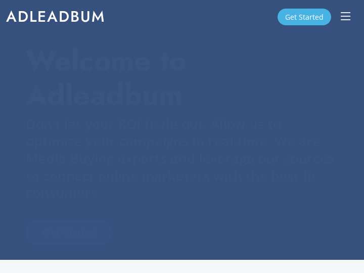 Adleadbum website preview