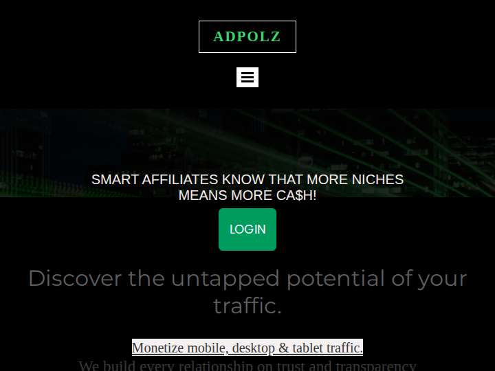 AdPolz Network website preview