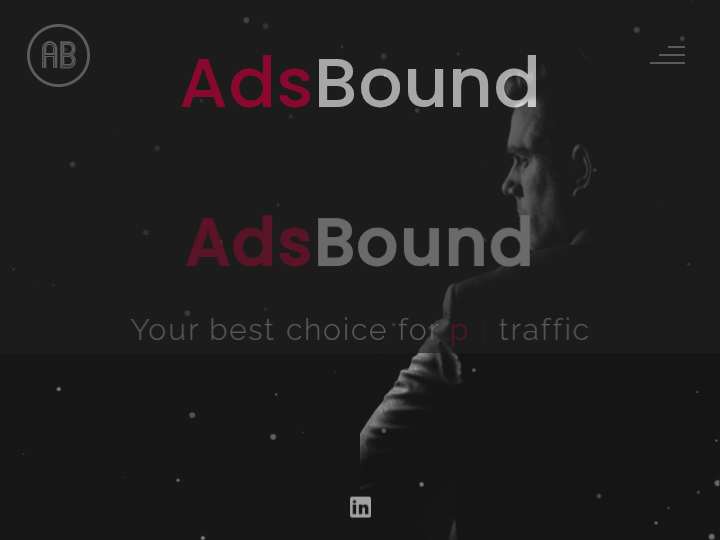 AdsBound website preview