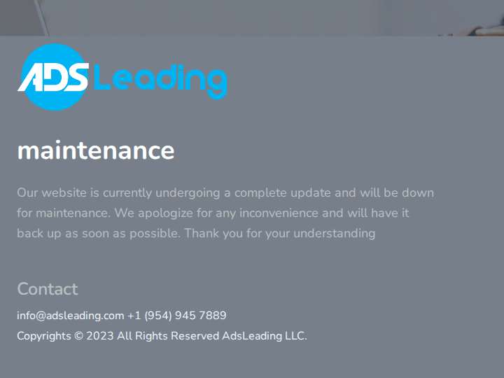 AdsLeading website preview