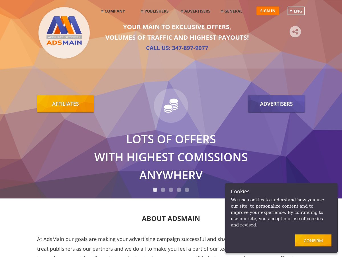 AdsMain website preview