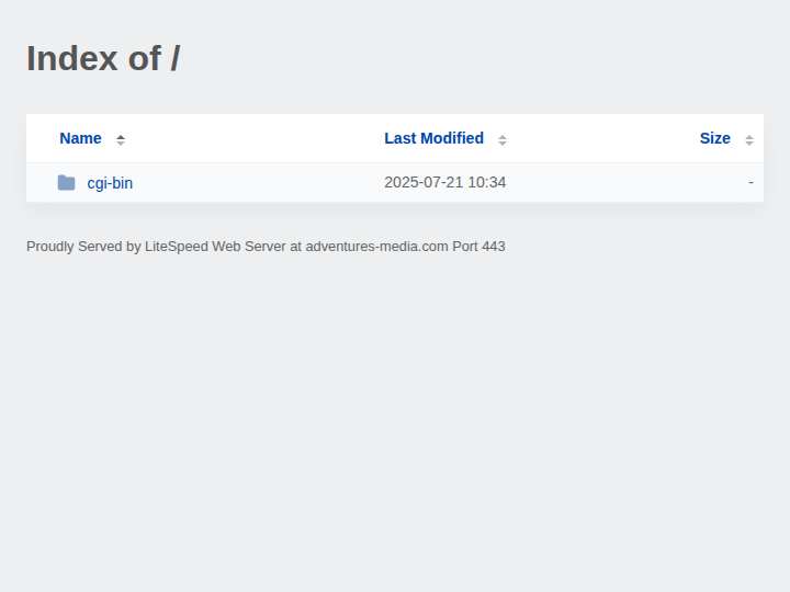 Adventures Media website preview