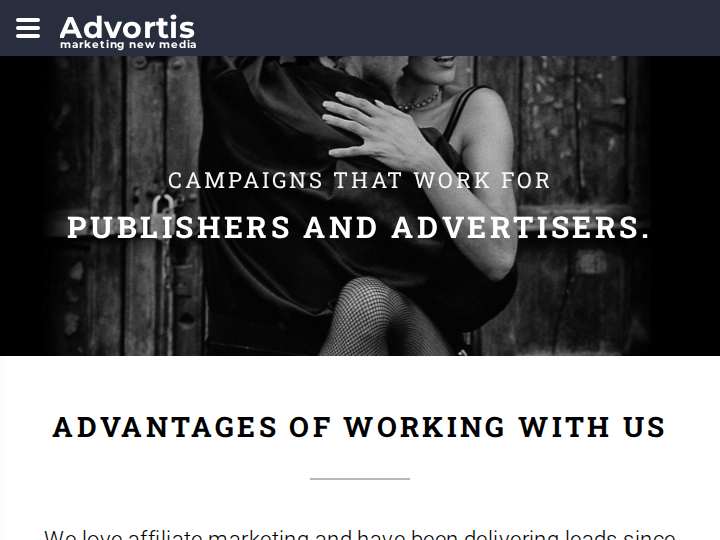 Advortis website preview