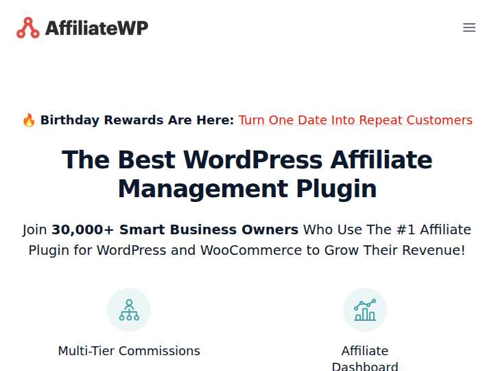 AffiliateWP website preview