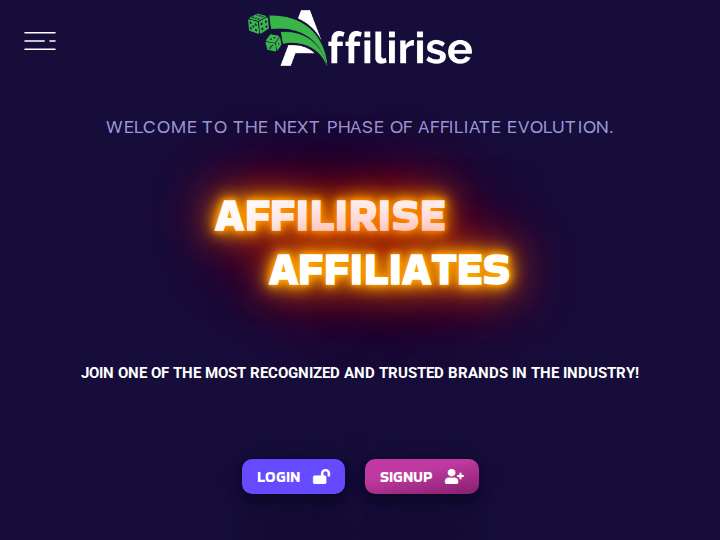 Affilirise website preview