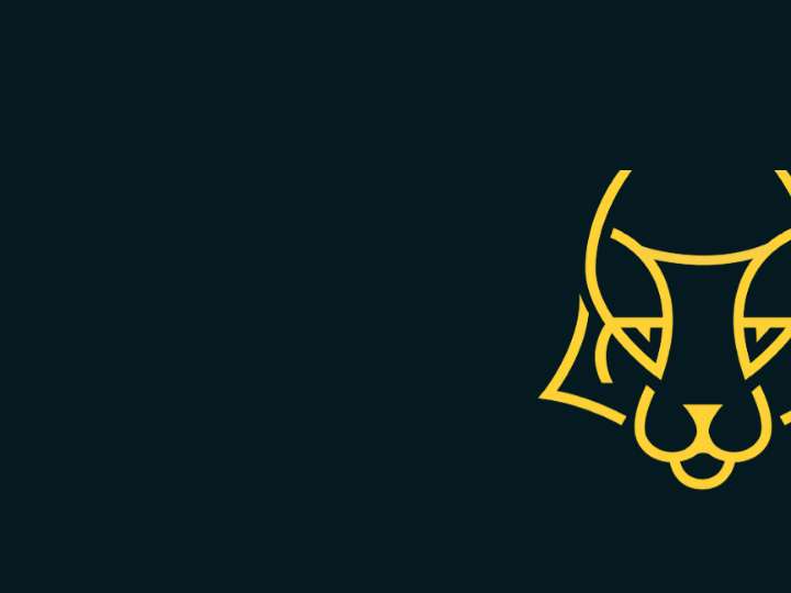 Affilynx website preview