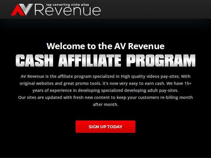 AV Revenue website preview