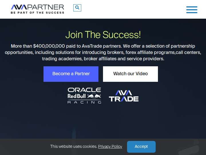AvaPartner website preview