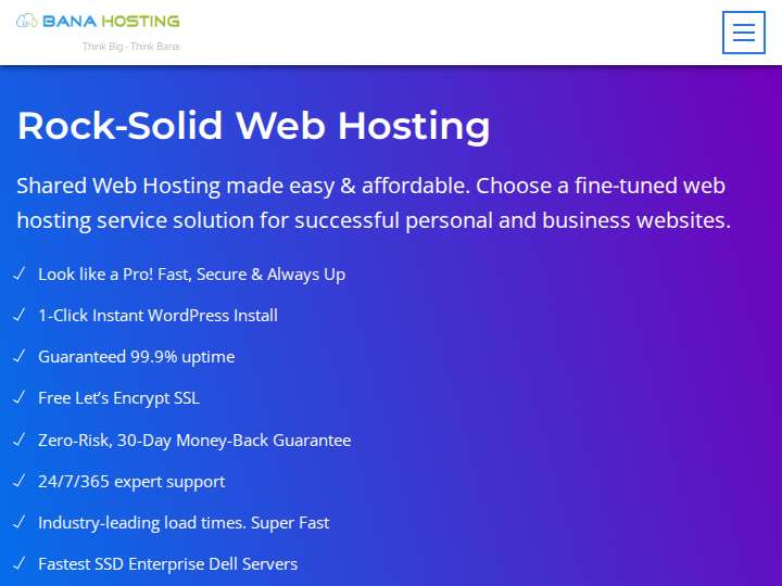 BanaHosting website preview
