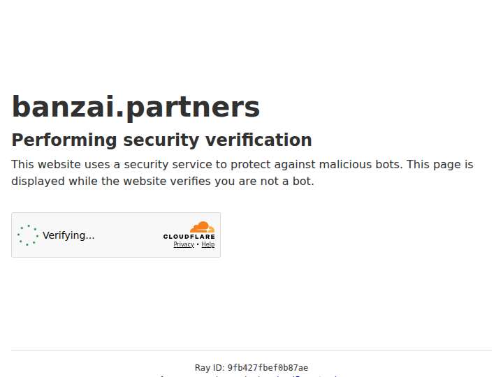 Banzai Partners website preview