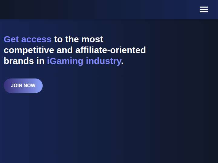 Bespoke Affiliates website preview