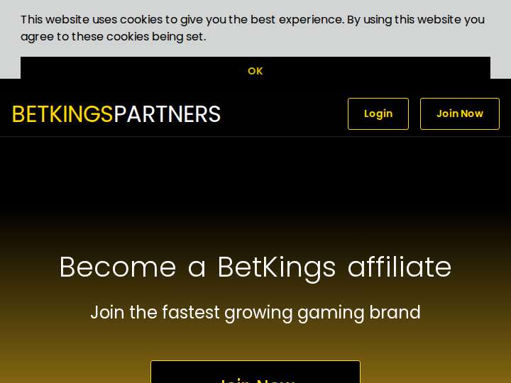 BetKings Partners website preview