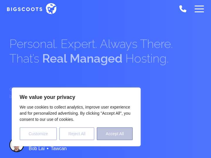 BigScoots website preview