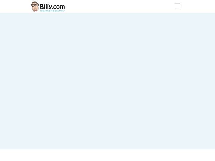 Billy.com website preview
