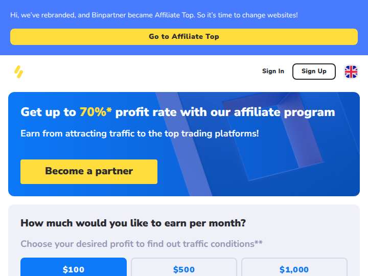 Binpartner website preview