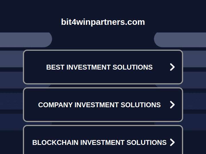 Bit4Win Partners website preview