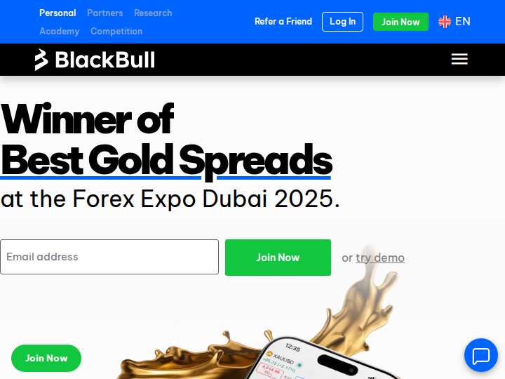 BlackBull Partners website preview