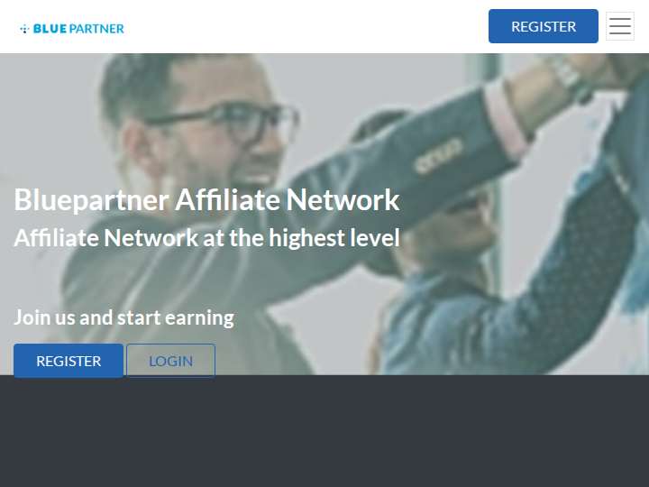Bluepartner website preview