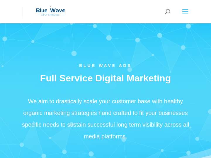 BlueWave Ads website preview
