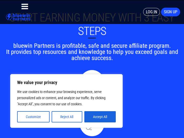 Bluewin Partners website preview
