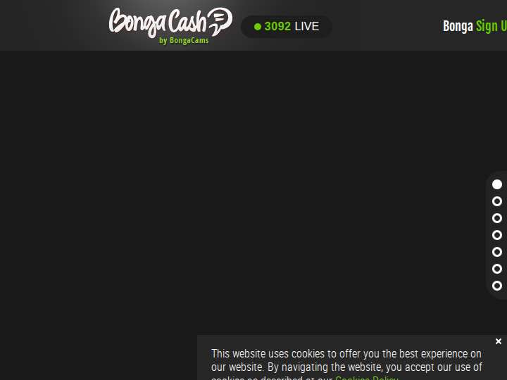 BongaCash website preview