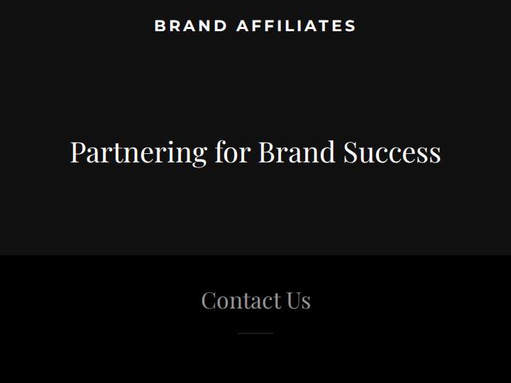 Brand Affiliates website preview