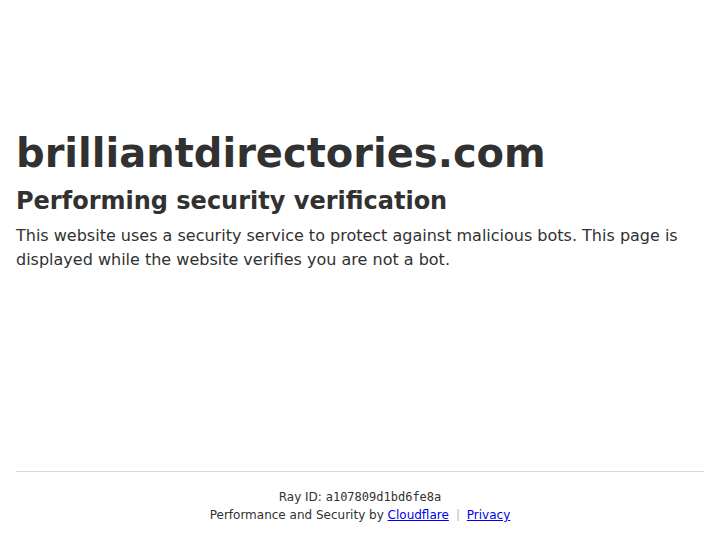 Brilliant Directories website preview