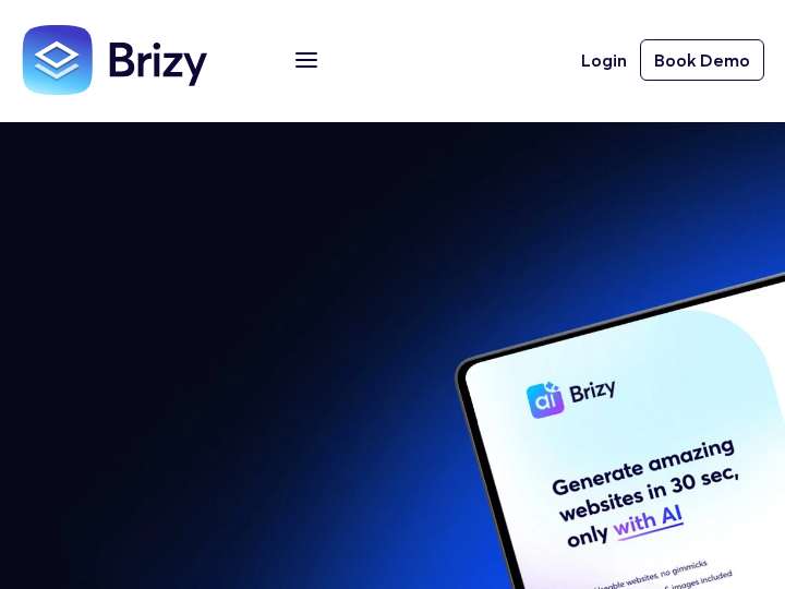 Brizy website preview