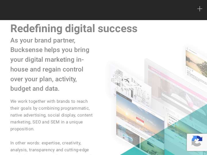 BuckSense website preview