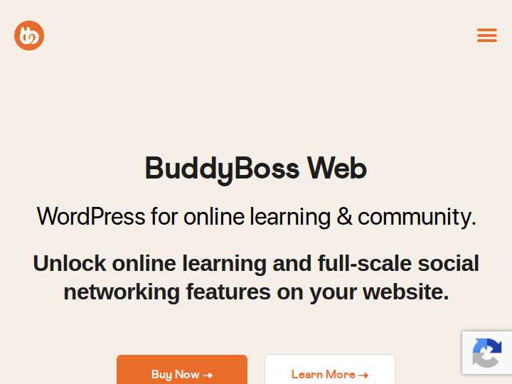 BuddyBoss website preview
