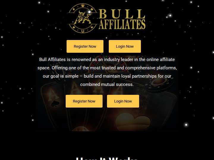 Bull Affiliates website preview
