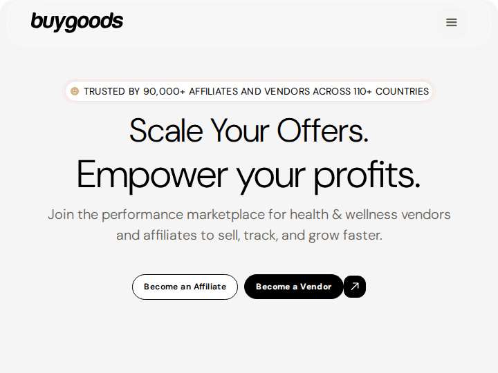 BuyGoods website preview
