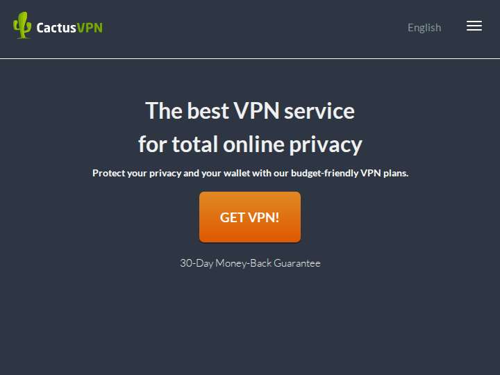 CactusVPN website preview