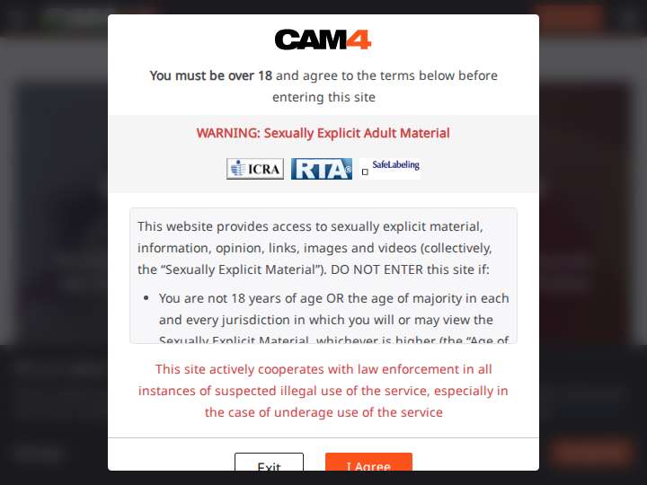 CAM4Pays website preview