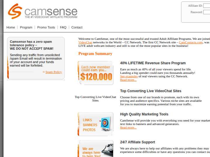 CamSense website preview