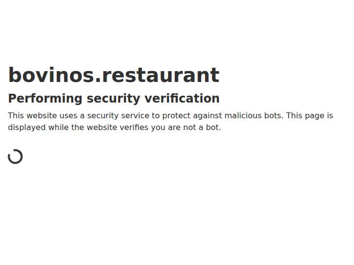 Captcha Solutions website preview
