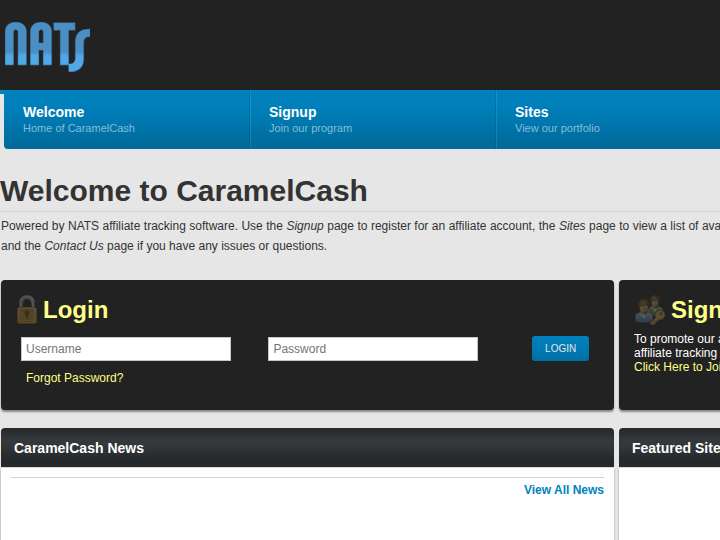 CaramelCash website preview