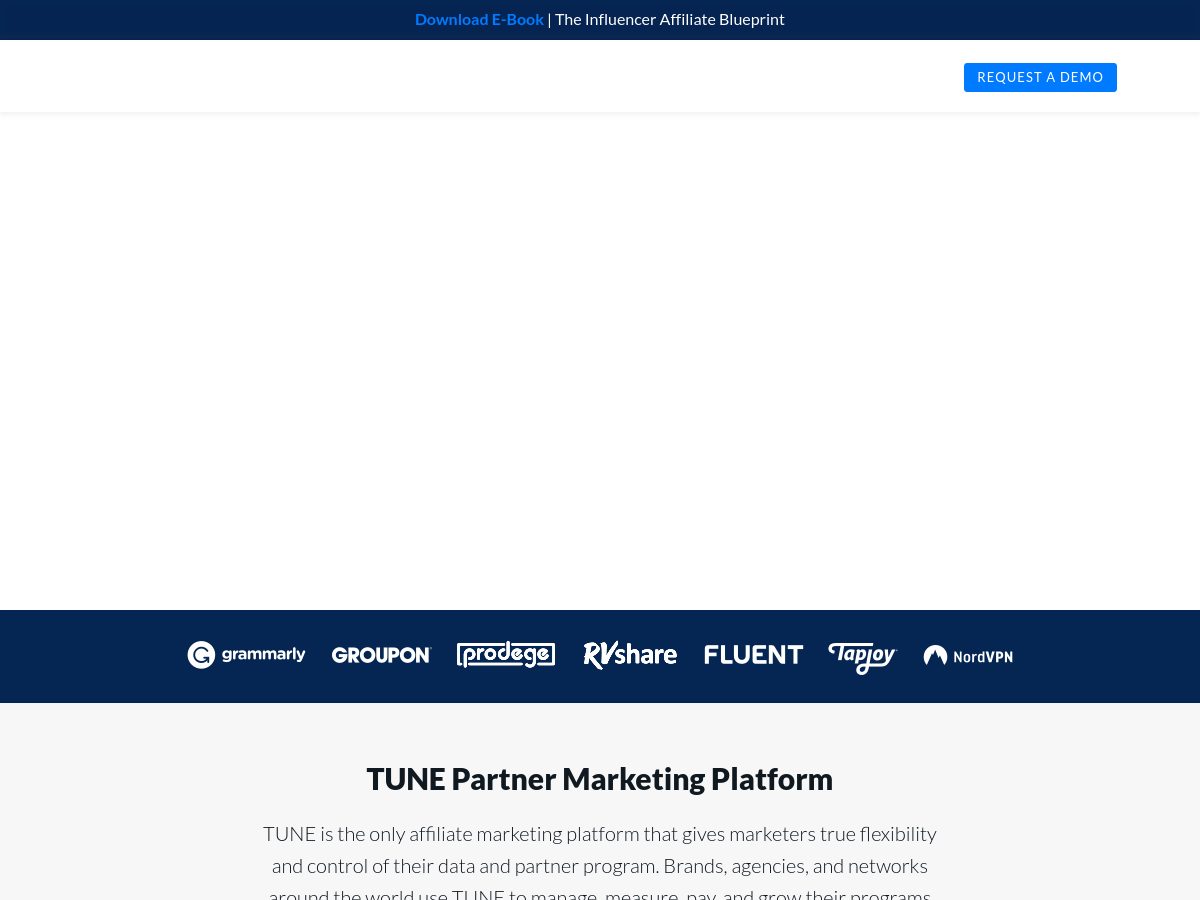 ChameleonAds website preview