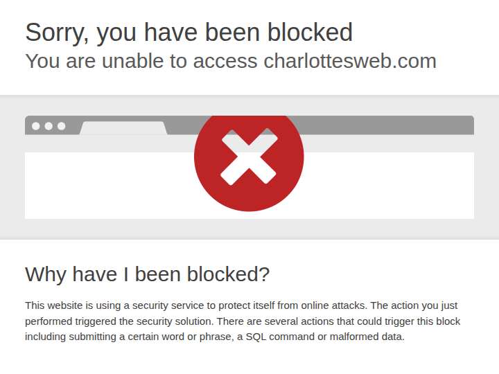 Charlotte's Web website preview