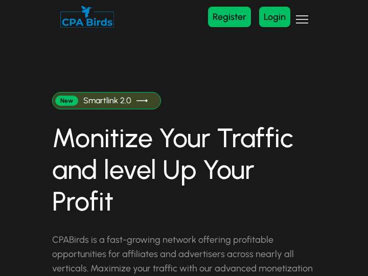 CPABirds website preview