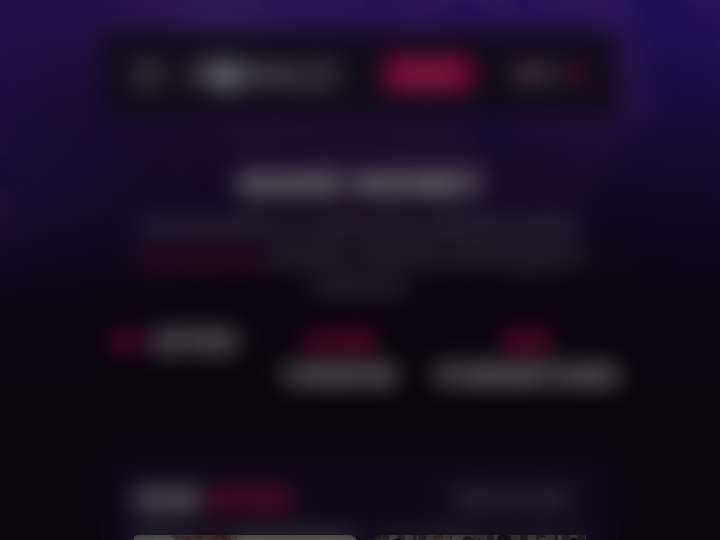 Czechprofits website preview