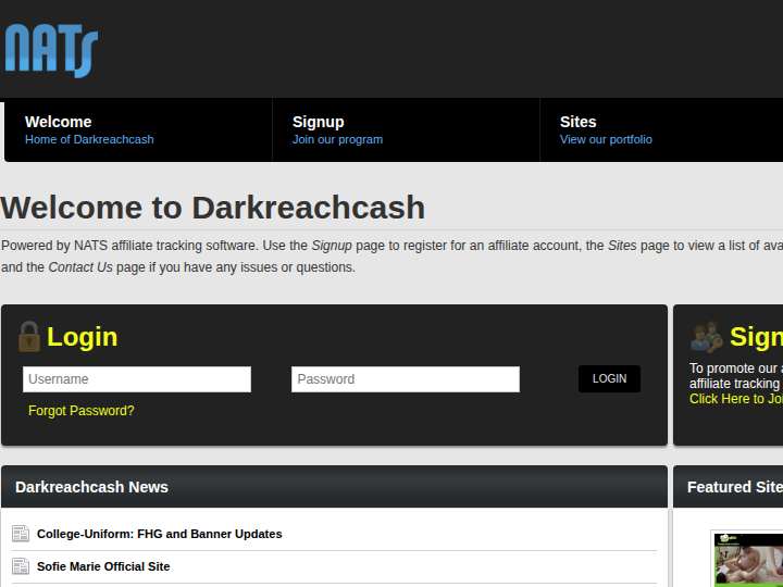 Dark Reach Cash website preview