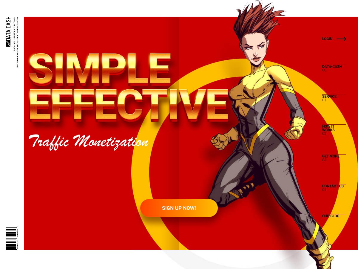 DataCash website preview