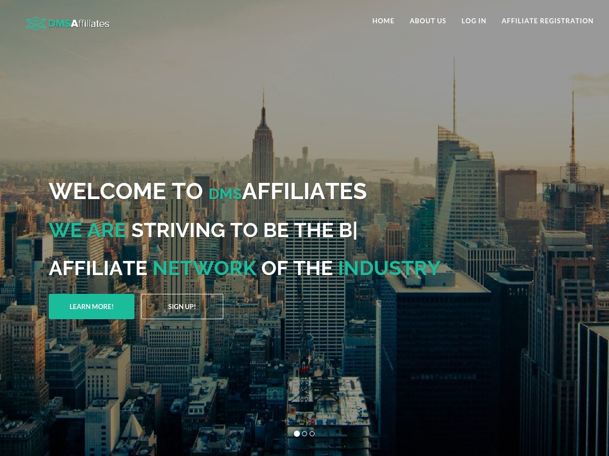DMSAffiliates website preview