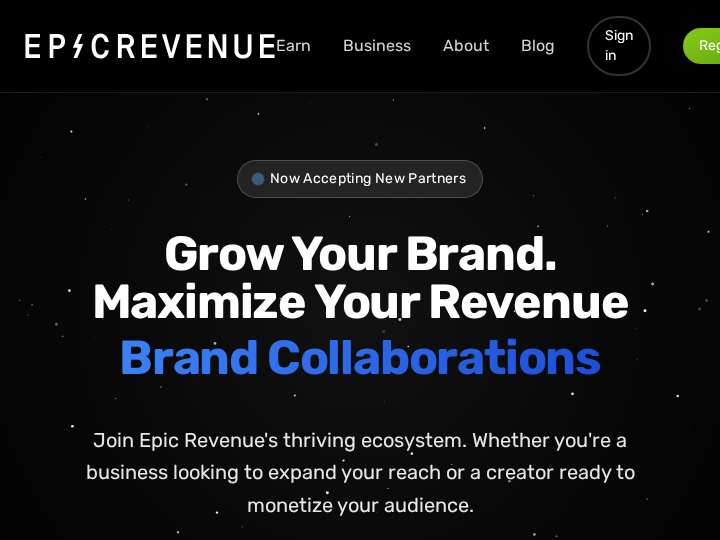 Epicrevenue website preview