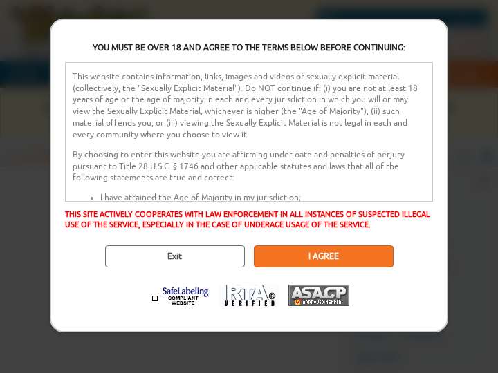 ExoticAds website preview
