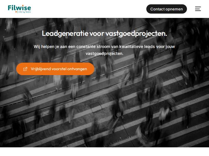 Filwise website preview