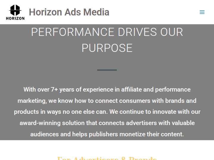 Horizon Ads Media website preview